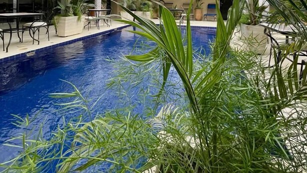 A multi-level indoor pool with clear blue water, surrounded by lush greenery and potted plants.