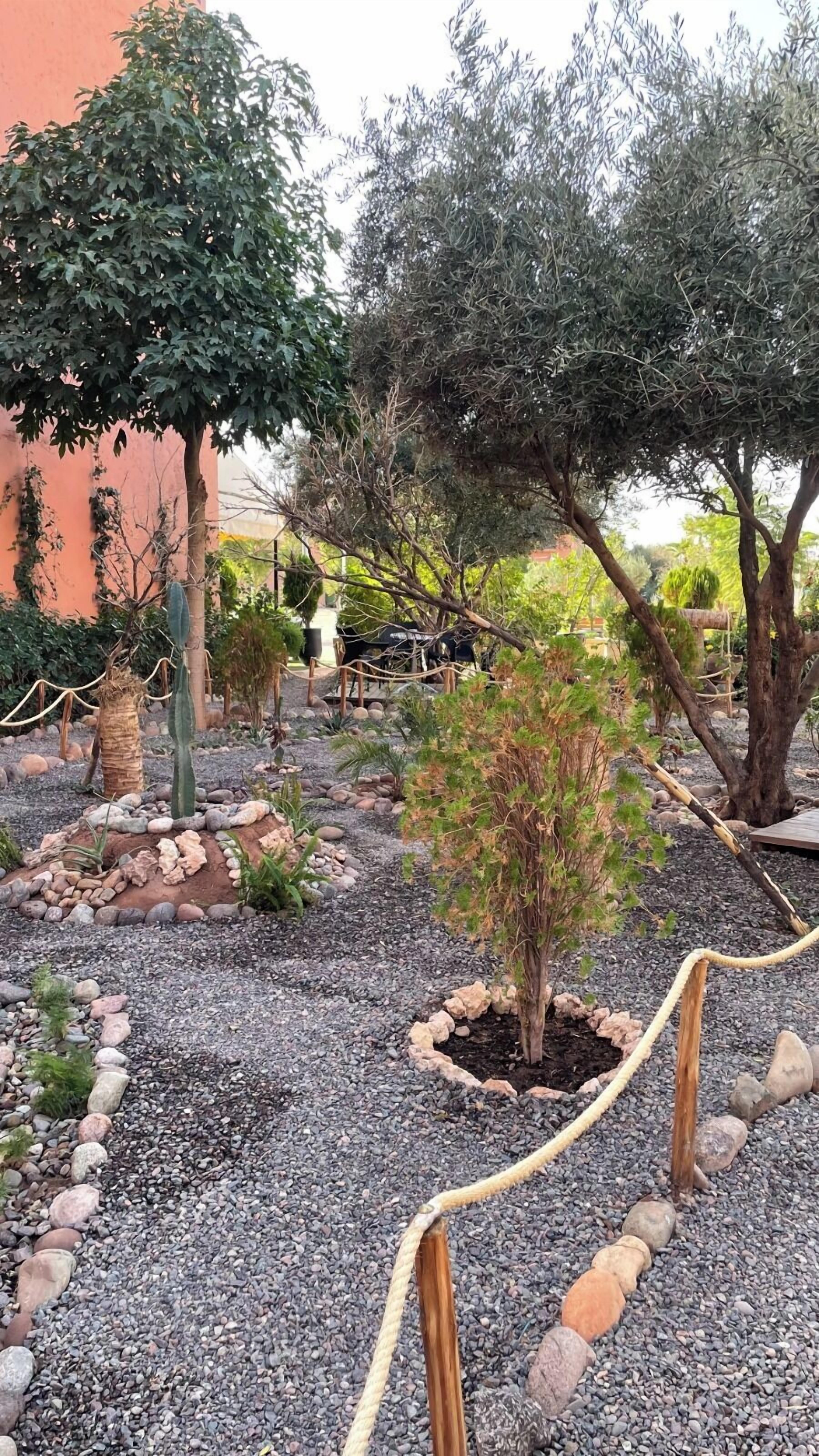 Photo - Riad Soir De Marrakech