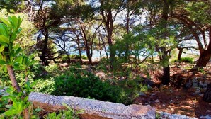 House - Holiday Houses, Villas Jagoda - Next to the sea (Solta)