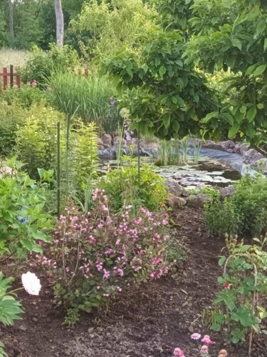 Apartments Mimi - Countryside Cottage