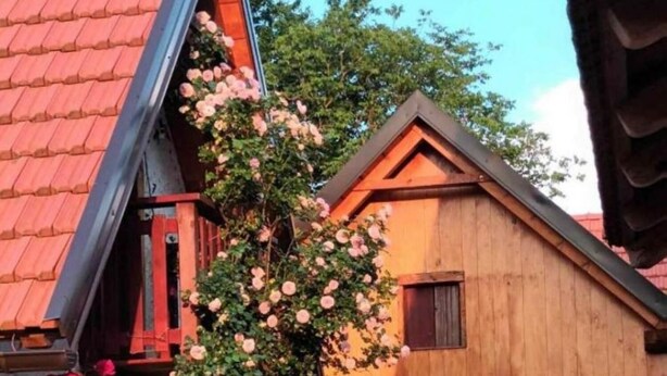 Unclassified image, 1 of 8, button - Apartments Mimi - Countryside Cottage (Plaski)