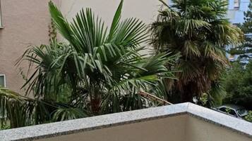 Apartment | 1 bedroom