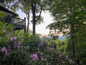 Un quartier résidentiel doté d’une terrasse en bois, d’une v égétation luxuriante et d’arbustes en fleurs.