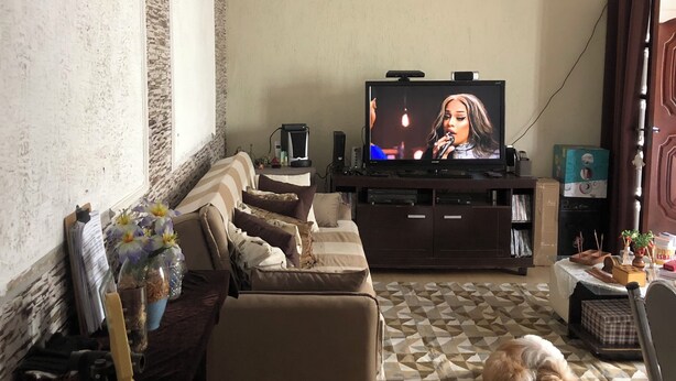A living room with a sofa, TV, and a dog on a patterned rug. - Single Room Centro Avaré  (Braz II Avaré)