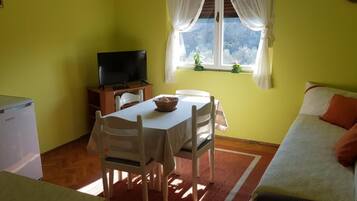 Apartment, Smoking | 1 bedroom