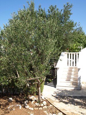 Apartment | 2 Schlafzimmer