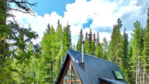 Une cabane dotée d’une terrasse, de grandes fenêtres et d’un toit en métal, entourée d’arbres.