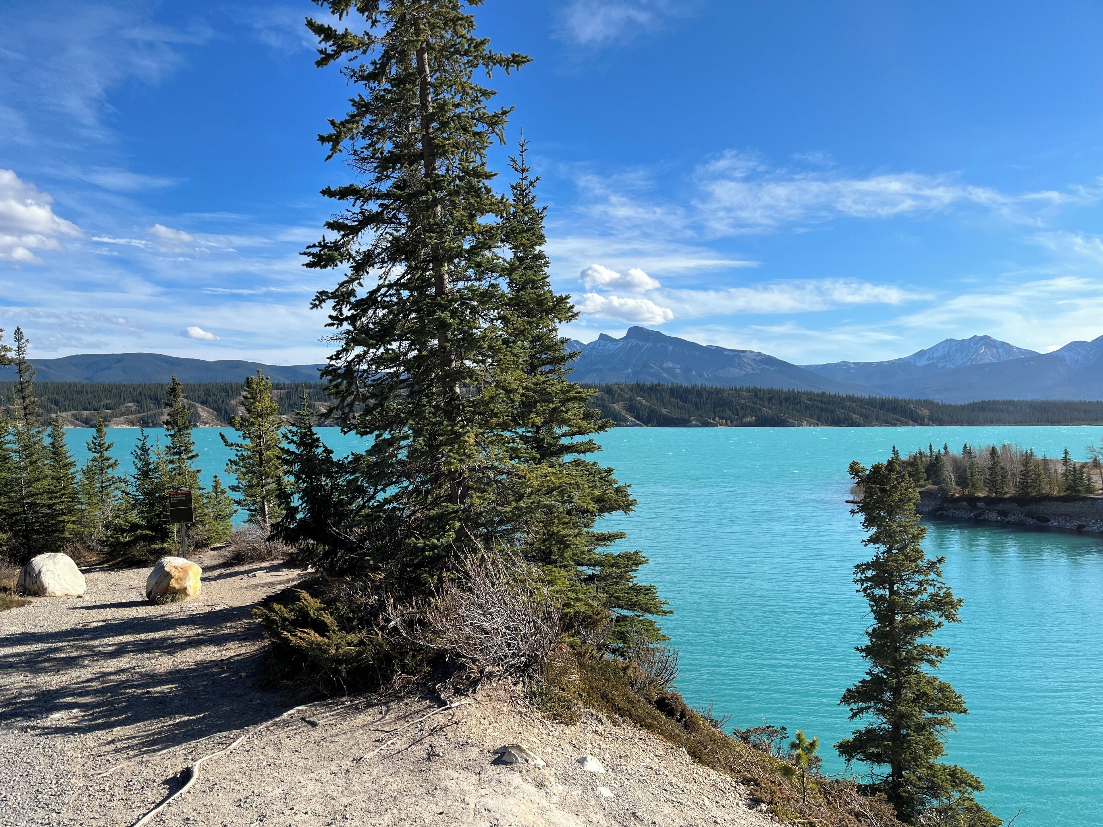 A clear view of a mountain lake with surrounding trees and a distant mountain range.