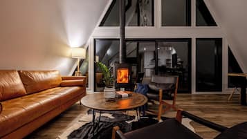 Smart TV, fireplace, books