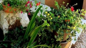 Imej tidak diklasifikasikan, 5 daripada 25, butang