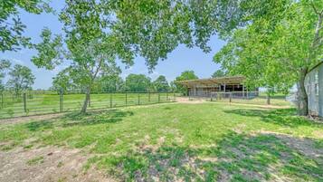 Área da propriedade