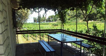 Holiday Houses, Villas Lidija - Robinson House