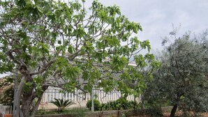 Casa, fumatori | 2 camere