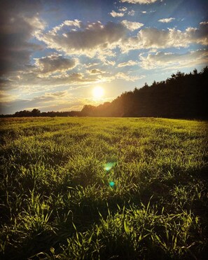 Golf - Cozy Cabin in the Country (Pet-Friendly!) (Fullarton)