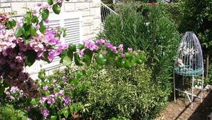Apartment, Smoking - Apartments Slavica - Apartment With Large Terrace (Supetar)