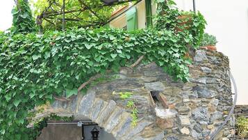 DĂ©tail de lâextĂ©rieur