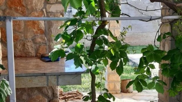 Unclassified image, 1 of 16, button - Holiday Houses, Villas Jaroje - 80m From the Beach With Parking (Pasman)