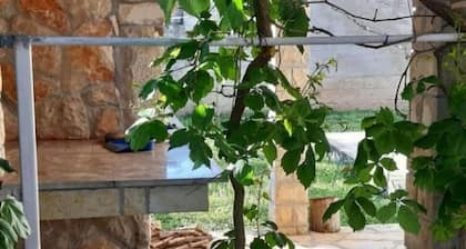 Holiday Houses, Villas Jaroje - 80m From the Beach With Parking