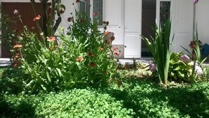 Apartment | 1 bedroom - Apartments Tom - 500 m From sea (Omis)
