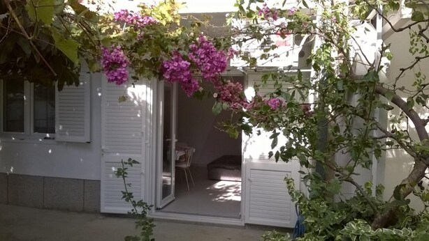 Apartment | 1 bedroom - Apartments Tom - 500 m From sea (Omis)