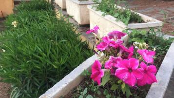 Details aan de buitenkant