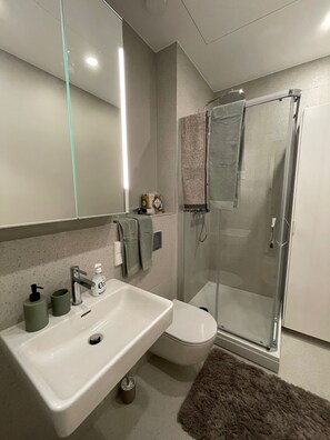 Hair dryer, towels, soap, toilet paper