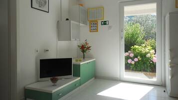 Apartment, Smoking | 1 bedroom