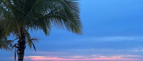 Sun-loungers, beach towels