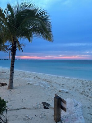 Una playa con una palmera y un cartel de madera.