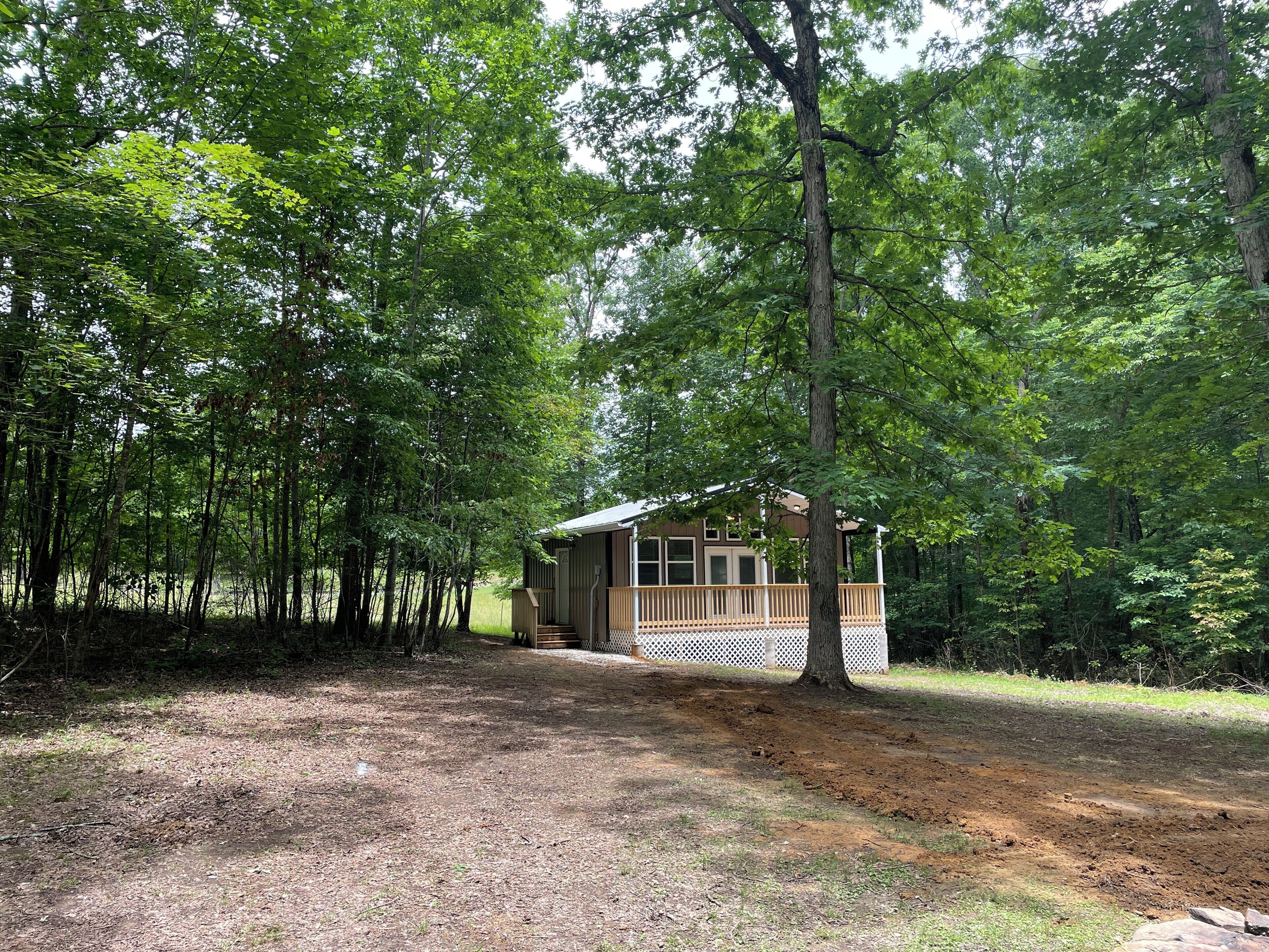 A cabin surrounded by dense forest, with a dirt path leading to the entrance.