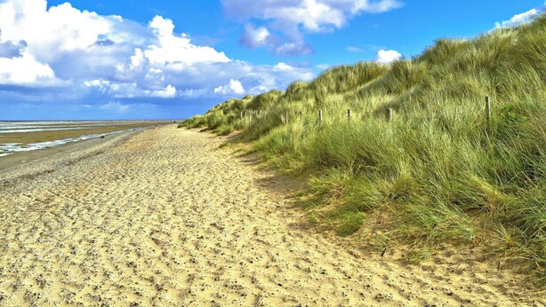 A sandy beach with dunes and a clear sky. - Sunny Rhyl Apartment - UK44631 (Rhyl)