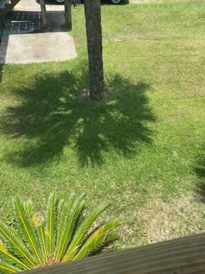 Property grounds - Beautiful Beach House In Fort Morgan !  (Gulf Shores)