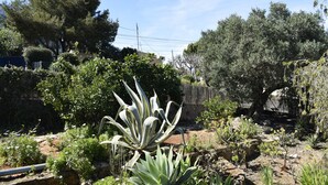 Ein Garten mit verschiedenen Pflanzen und Bäumen, darunter ein Agavestück im Vordergrund.