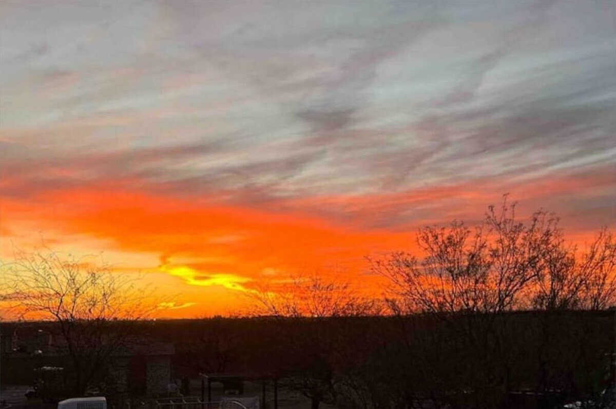 Imagen de perfil del propietario o de la propietaria