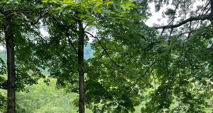 Private waterfront retreat in the New River Gorge