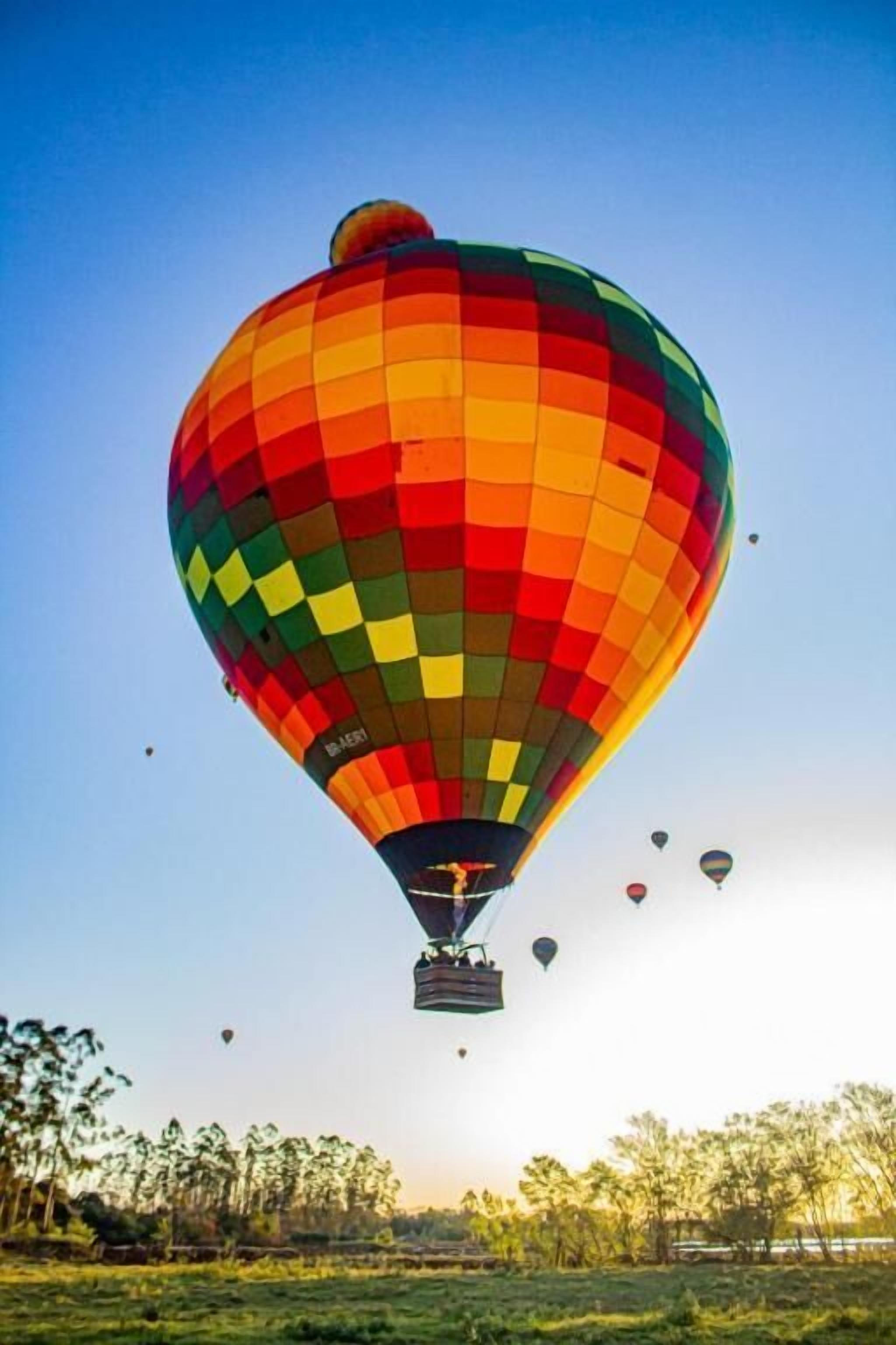 A hot air balloon with a colorful pattern, floating above a grassy field with trees in the background.