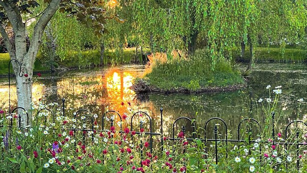 Un jardin paisible avec un étang, des arbres et une grande variété de fleurs.