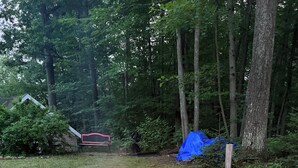 A backyard with a circular brick fire pit, surrounded by grass and trees. - The Bluebird Cottage.  Just go down 400 feet and jump in lake . (Roscommon)
