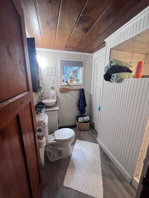 Hair dryer, towels, soap, shampoo