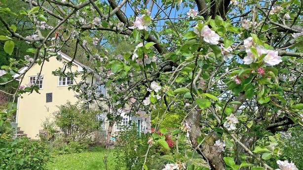 Ein gelbes Gebäude mit Garten und blühenden Bäumen.
