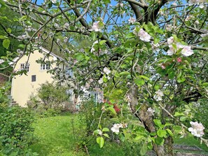 A yellow building with a garden and blooming trees.
