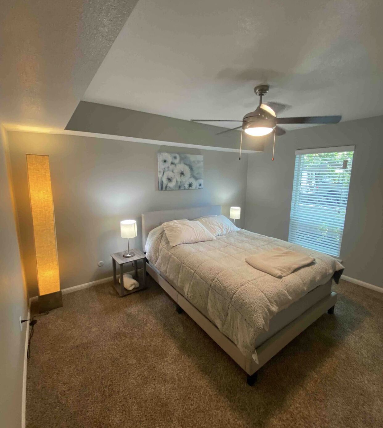 1 BR 1 BA/Texas Medical Center/NRG/Free Parking