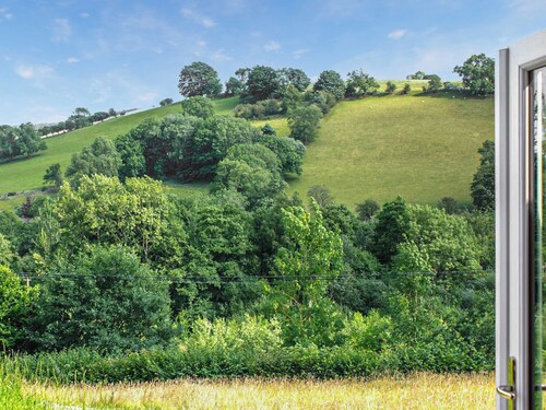 Barcud Coch - UK44539