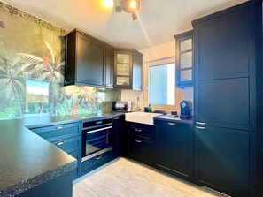 Fridge, microwave, oven, stovetop - Deluxe Apartment II. near the beach (Vantacici (Krk))