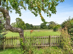 A rural landscape with a horse grazing in a fenced field, surrounded by trees and greenery.