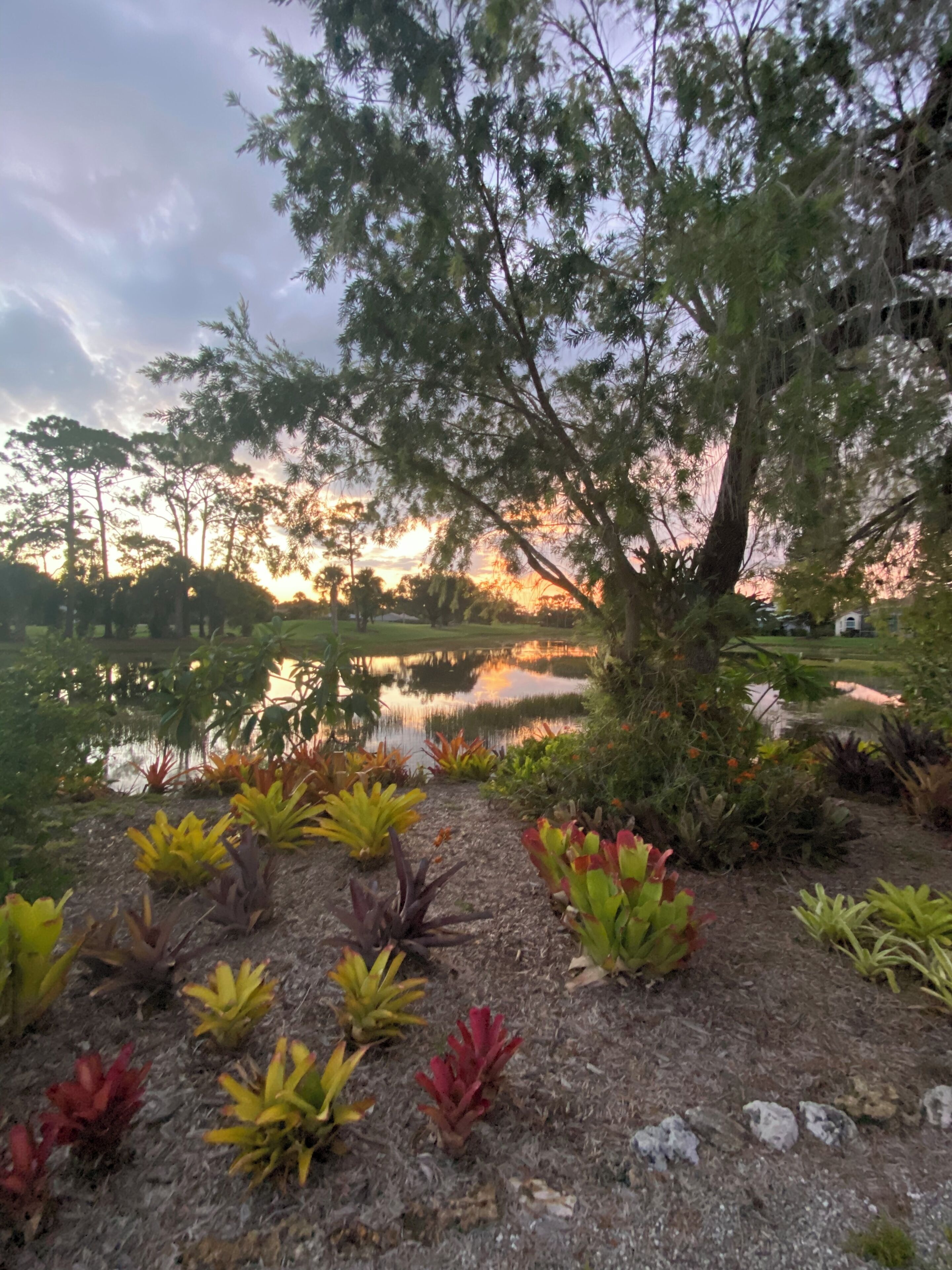 Naples Lely -3BR 2BA Perfectly Located Pool Amazing Gardens & Views Private