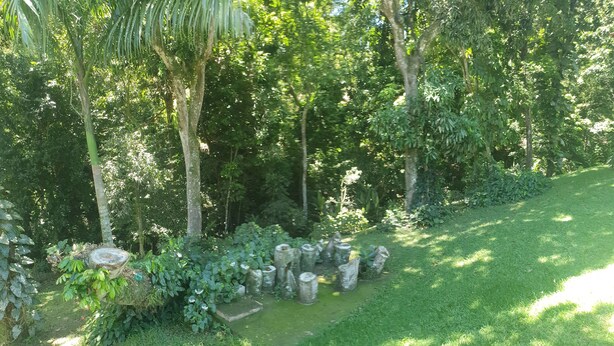 Un exuberante jardín con diversas especies de árboles y arbustos, un sendero de piedra y una zona cubierta de césped.