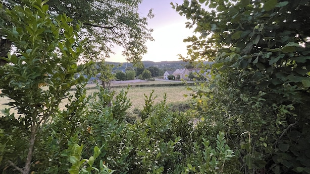 A rural landscape with a field, trees, and a distant house.
