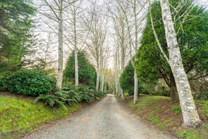 Imagen sin descripción, 5 de 28, botón