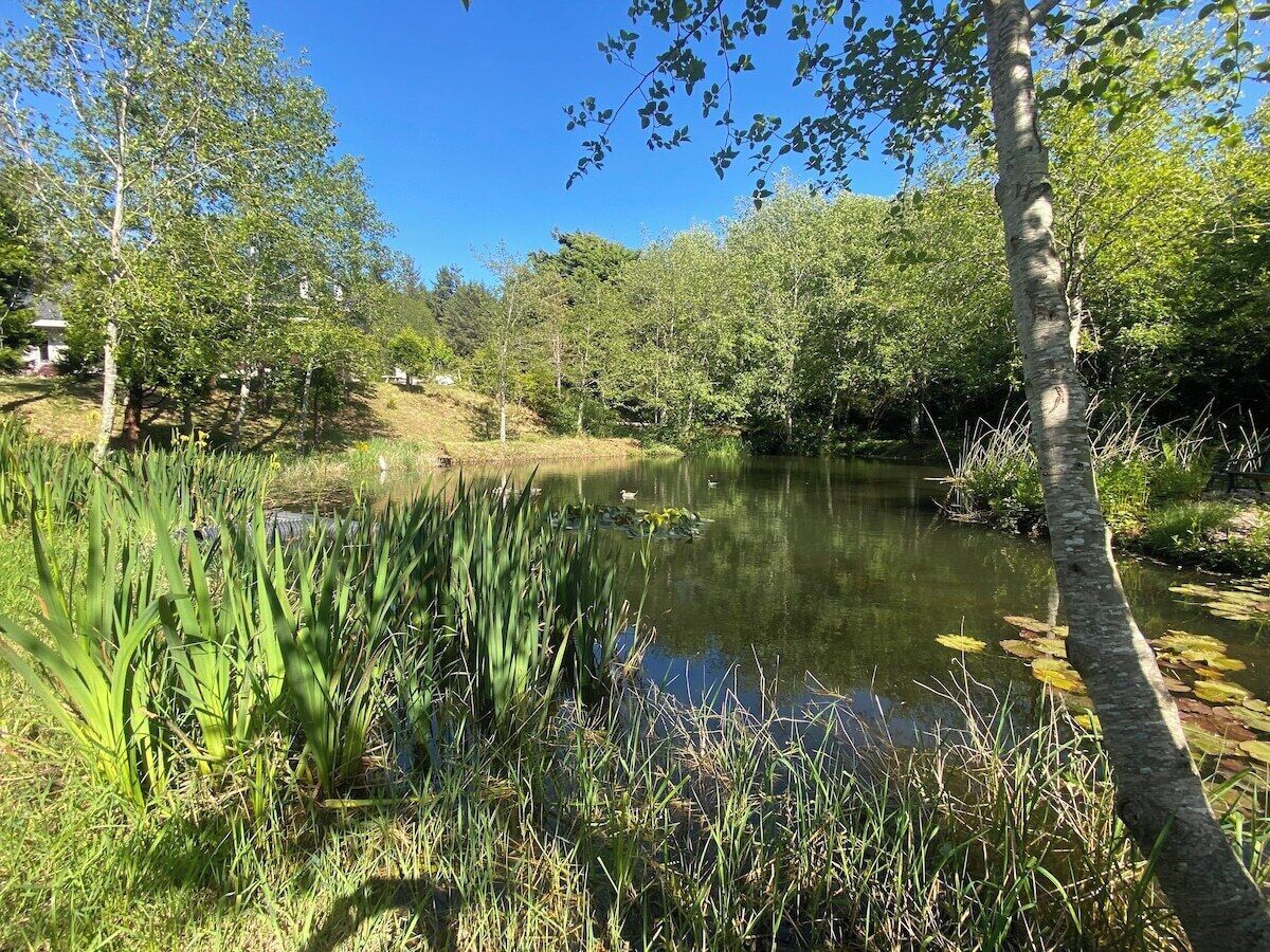 Área da propriedade